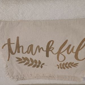 Thankful Placemats Set of 4 Beige and Gold Fringe Trim  EUC